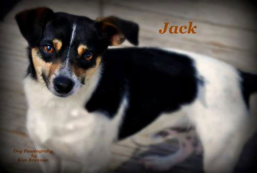 JACK