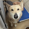 Tobi - Photo 4