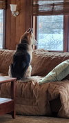 Tobi - Photo 5