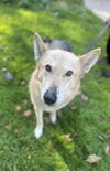 Tobi - Photo 2