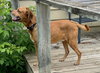 Bandit - Photo 5