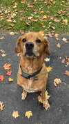 Bandit - Photo 3