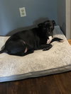 Velma - Photo 2