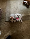 Abbey - Photo 10