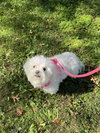 Abbey - Photo 6