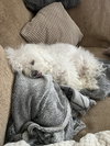 Abbey - Photo 7