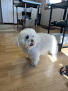 Abbey - Photo 9