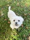 Abbey - Photo 1