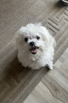 Abbey - Photo 8