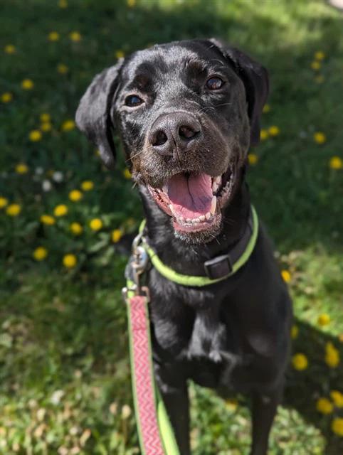 Walter