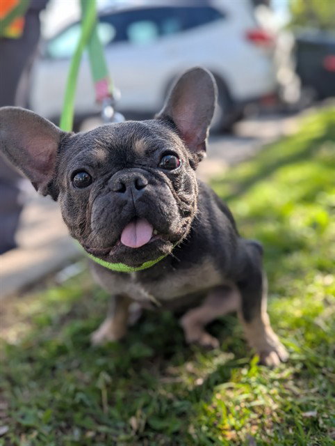 CHARLIE