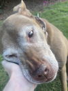 BEGGING FOR BELLA!  HAPPY SENIOR GIRL!