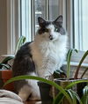 MISTY - A BEAUTY - MESMERIZING GIRL