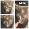 MIMI- Lovely Spunky/fun Fem with Mona Lisa Smile!