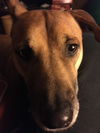 Lena - A Demure Lady!