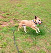 Lena - A Demure Lady!