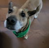 Lena - A Demure Lady!