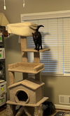 Salem - 