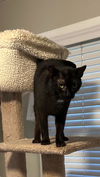 Salem - 