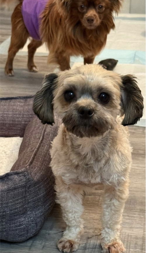 JoJo and Gracie