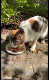 Dinah - She is Dinah-mite!