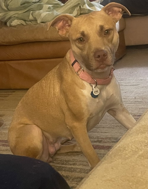 Leena - LOVELY girl from a Hard Past!