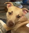 Leena - LOVELY girl from a Hard Past!