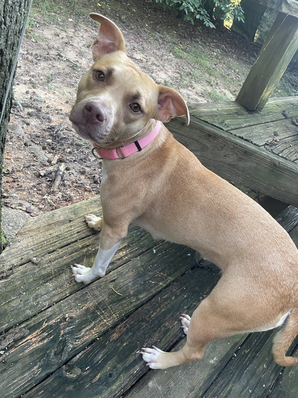 Leena - LOVELY girl from a Hard Past!