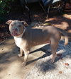 PRECIOUS SWEET/Homeless/Owner in Nursing Home