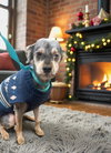 CHARLIE, SWEET, SWEET GRATEFUL BOY - Photo 1