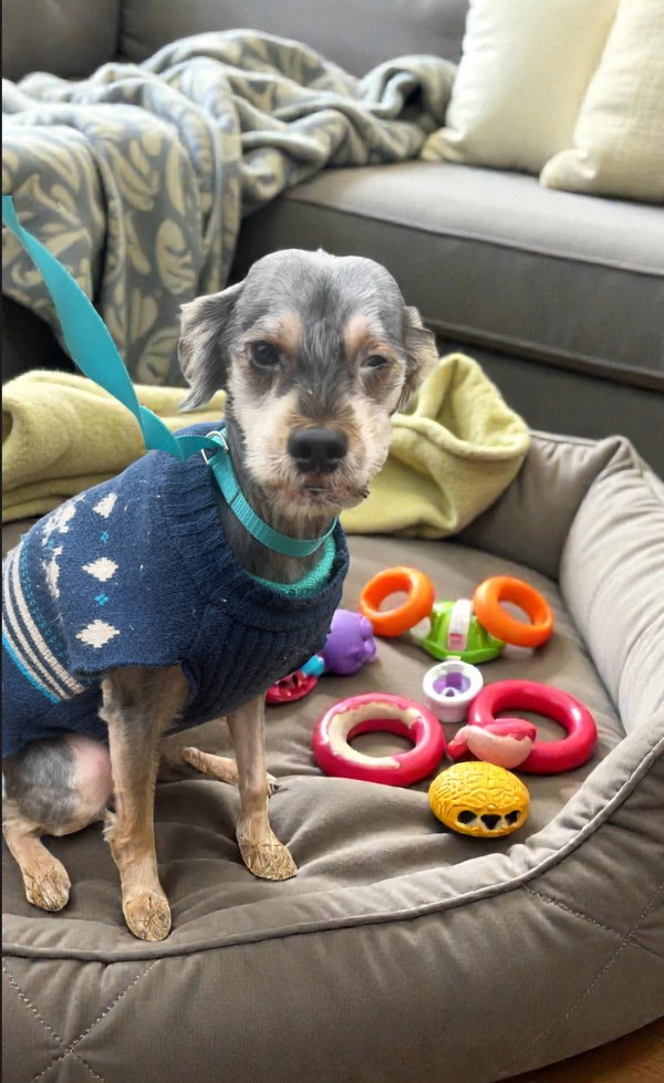CHARLIE, SWEET, SWEET GRATEFUL BOY