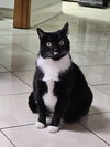 Dahlia - Fun TUX Personality - Unique!