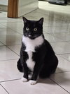 Dahlia - Fun TUX Personality - Unique!