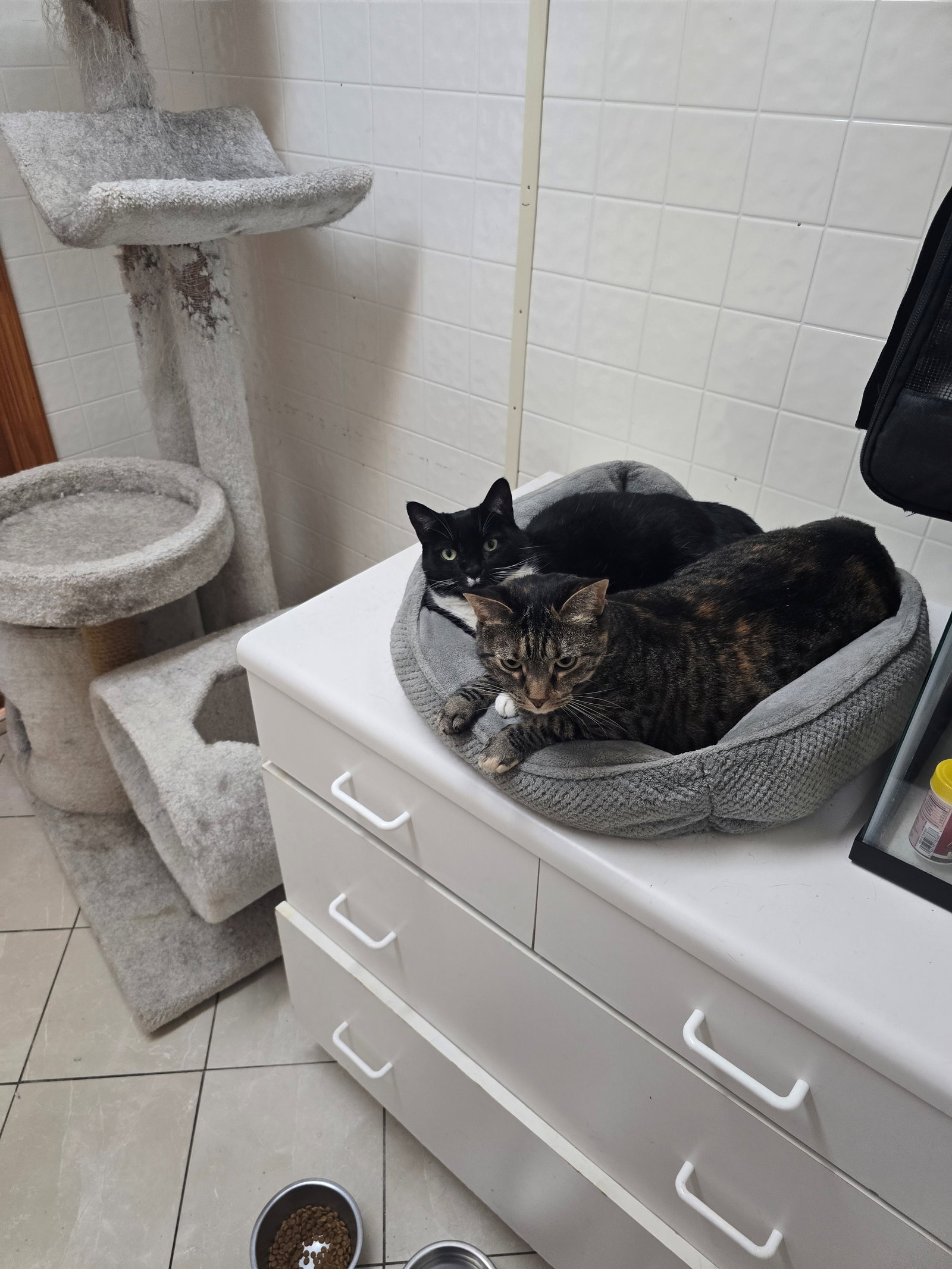 Dahlia & Ivy