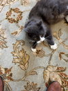 Patches - She will patch you up in no time