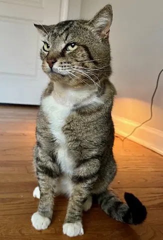Larry - Just Wants To Be Loved image 3