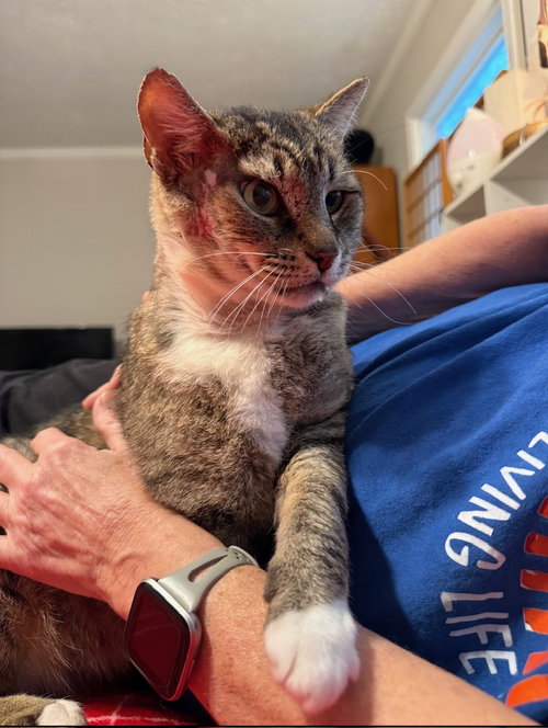 Photo 5 of LARRY - Just Wants to be LOVED!