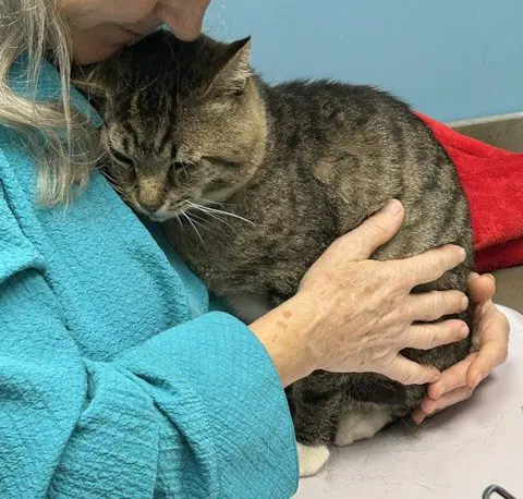 Larry - Just Wants To Be Loved image 2