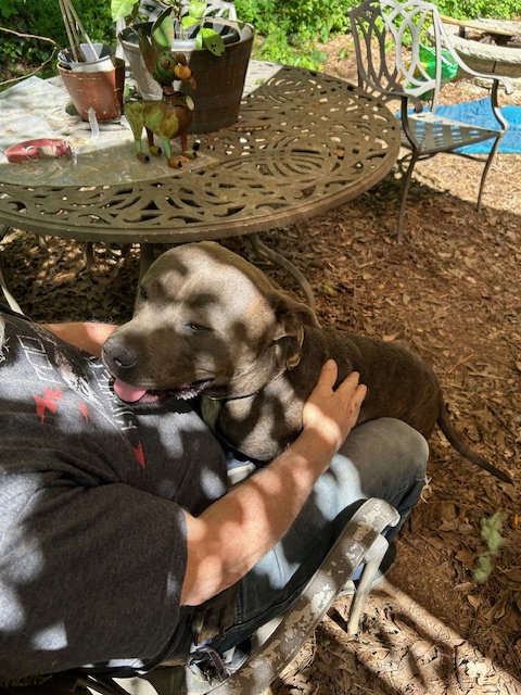 George - Survival to Safety! Not a mean bone. photo 6