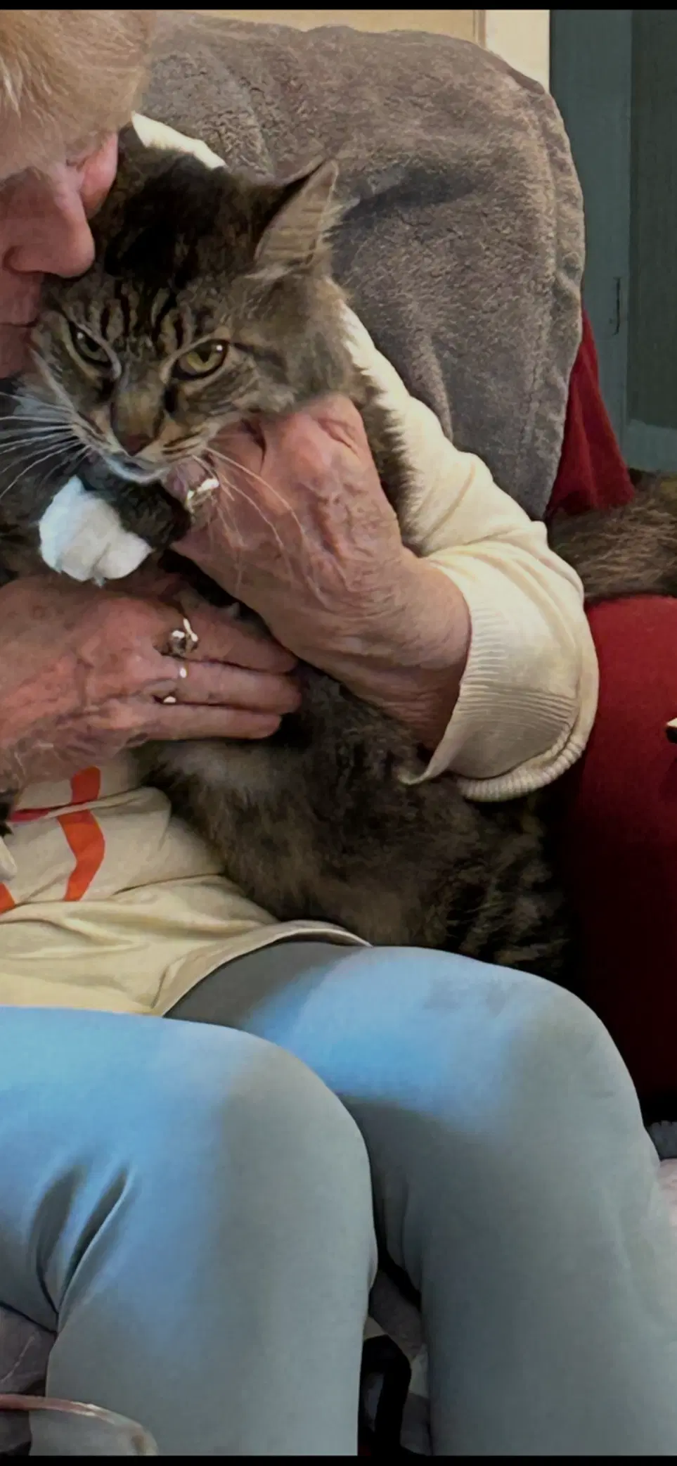 Fozzy Bear - From Suffering To Comfort image 3