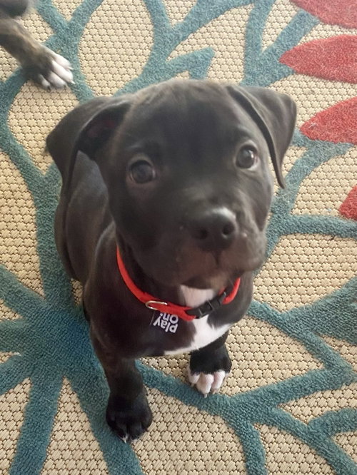 Duncan - Slam-Duncan Your Heart
