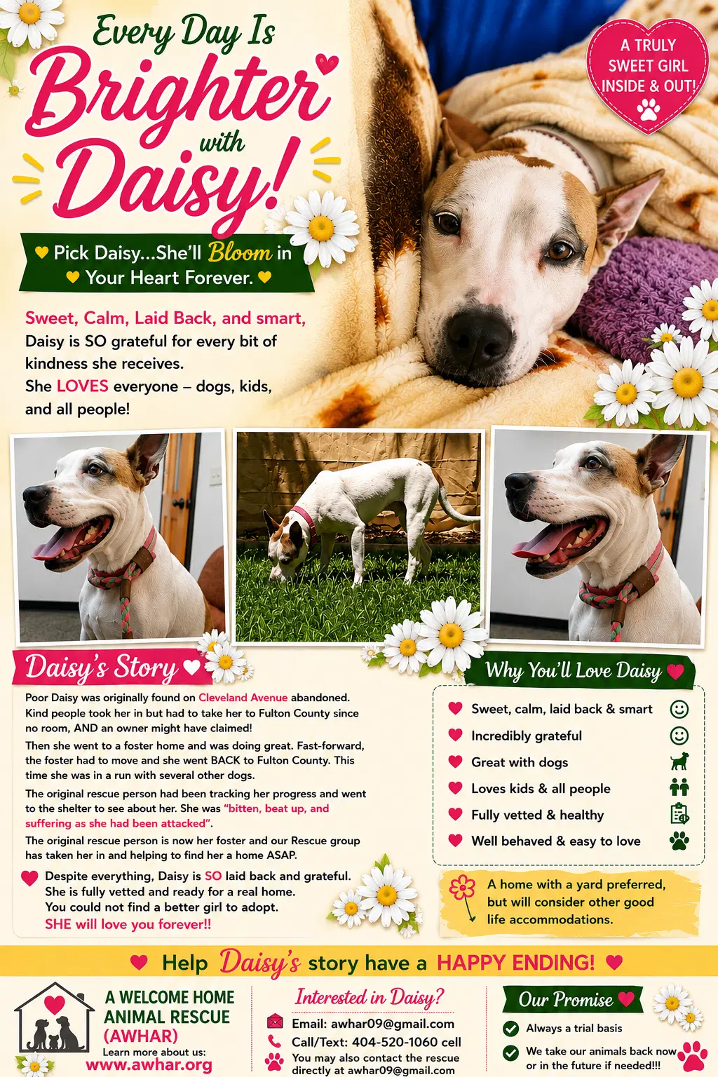 Daisy Good Dog -She'll Bloom In Your Heart Forever image 4