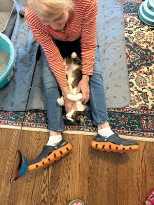 Betty Bobtail, photo 5