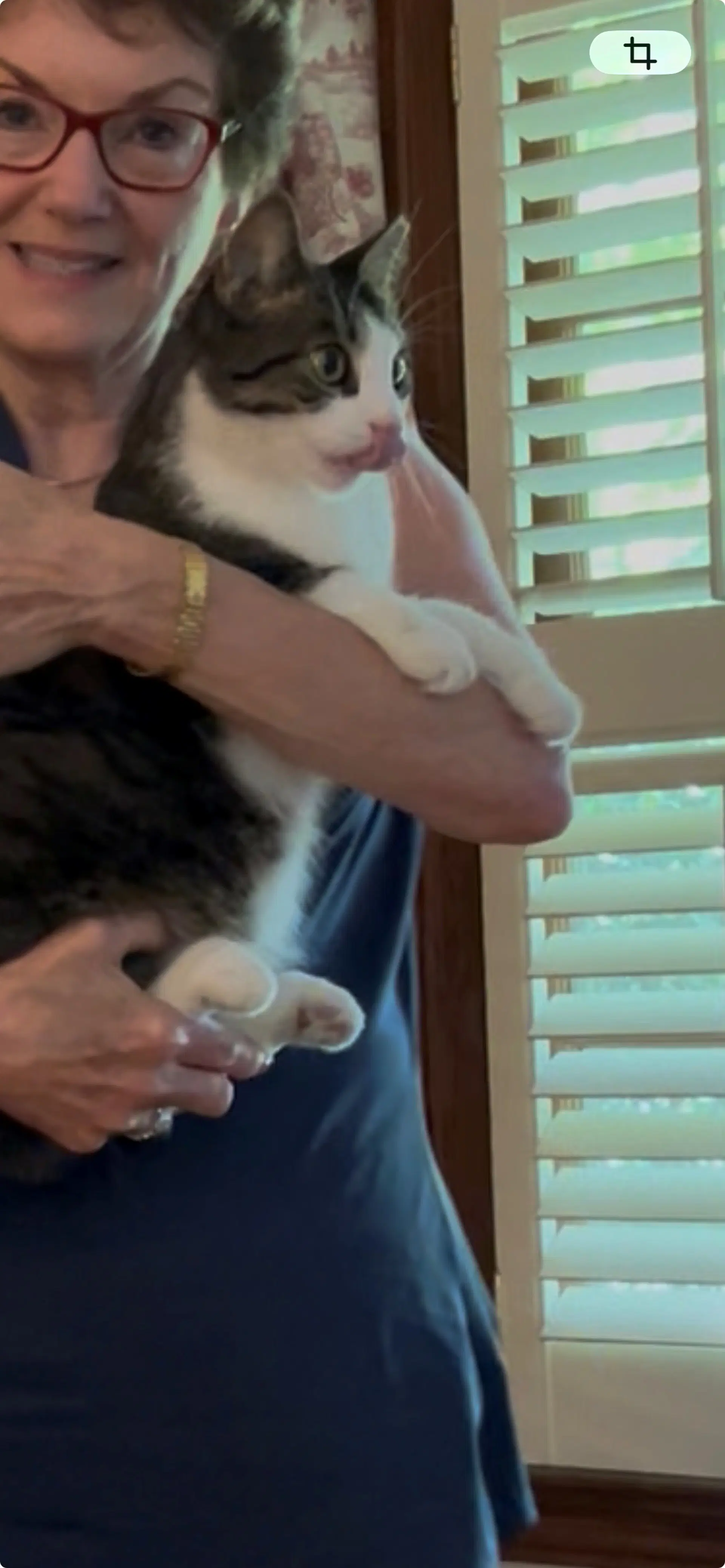 Betty Bobtail -Beautiful Sweet Big Presence image 4