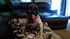 Treasure-ADOPTED