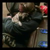 Treasure-ADOPTED