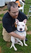 Petey-ADOPTED