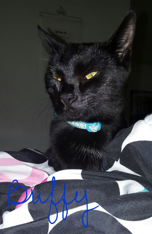 Buffy-ADOPTED