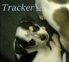 D10 Litter-Tracker-ADOPTED