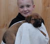 D12 Litter-Jasper-ADOPTED